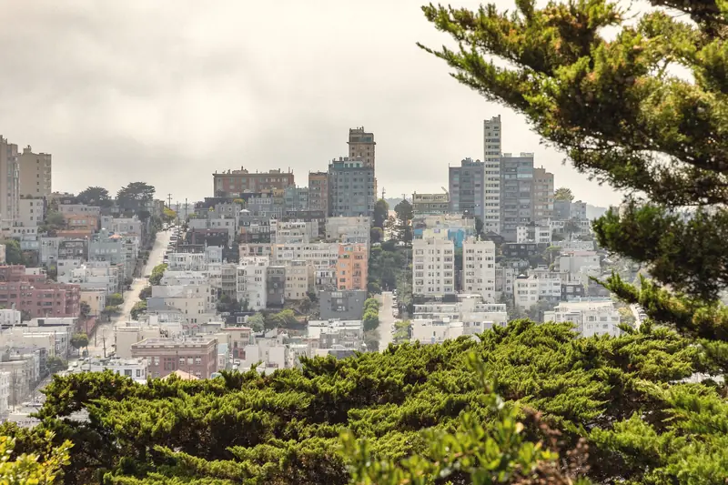 Photo of Russian Hill apartment buildings framed by cypress branches